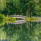 Schlosspark Taubenheim