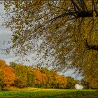 Schlosspark Tegel