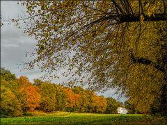 Schlosspark Tegel