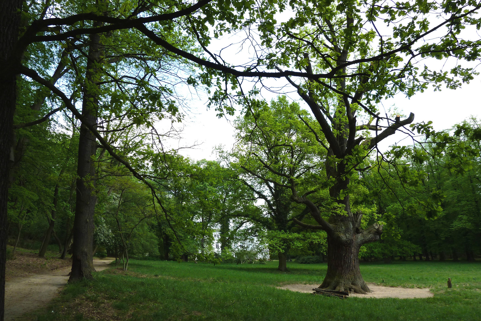 Schlosspark Tegel, nördlicher Weg mit Humboldteiche