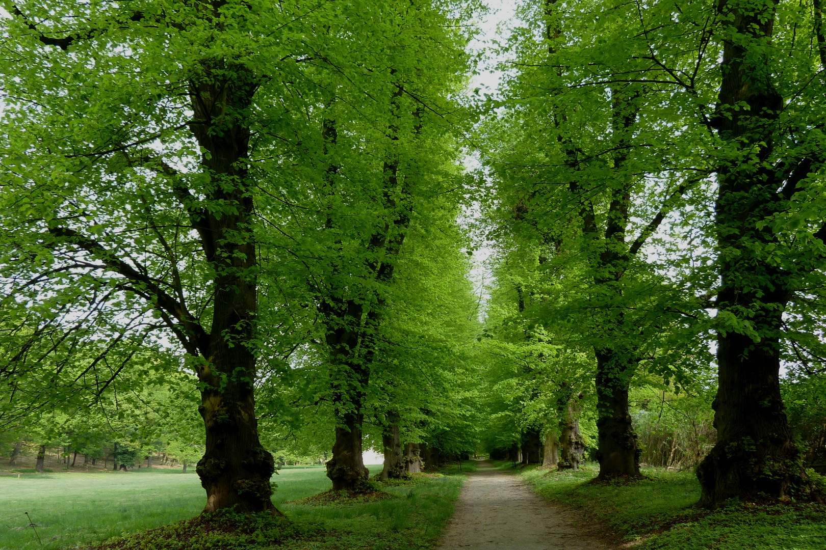 Schlosspark Tegel - südlicher Verbindungsweg vom Schloss zum Familiengrab der Familie von Humboldt