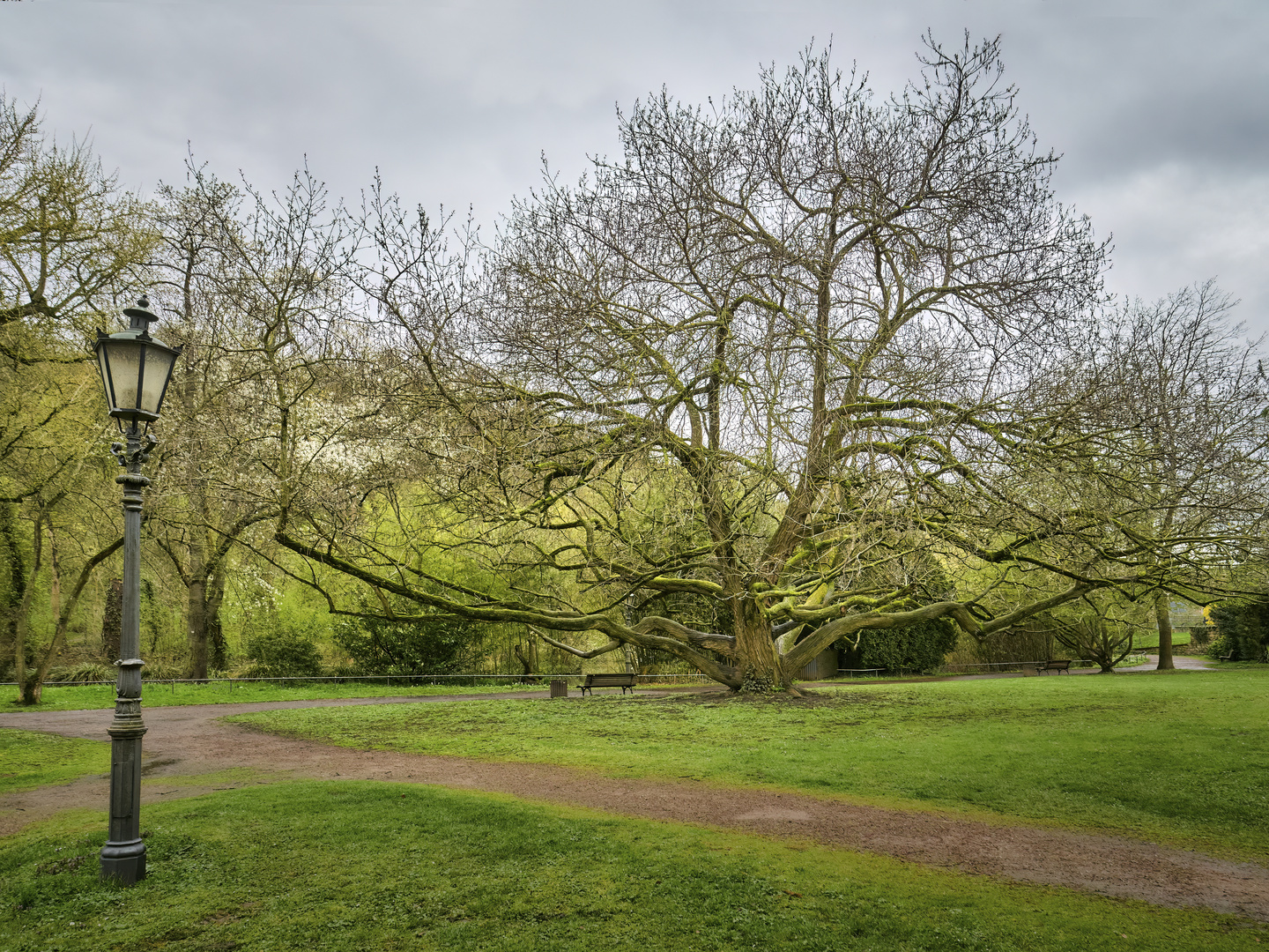 Schlosspark "Tentakel" | Bad Kreuznach