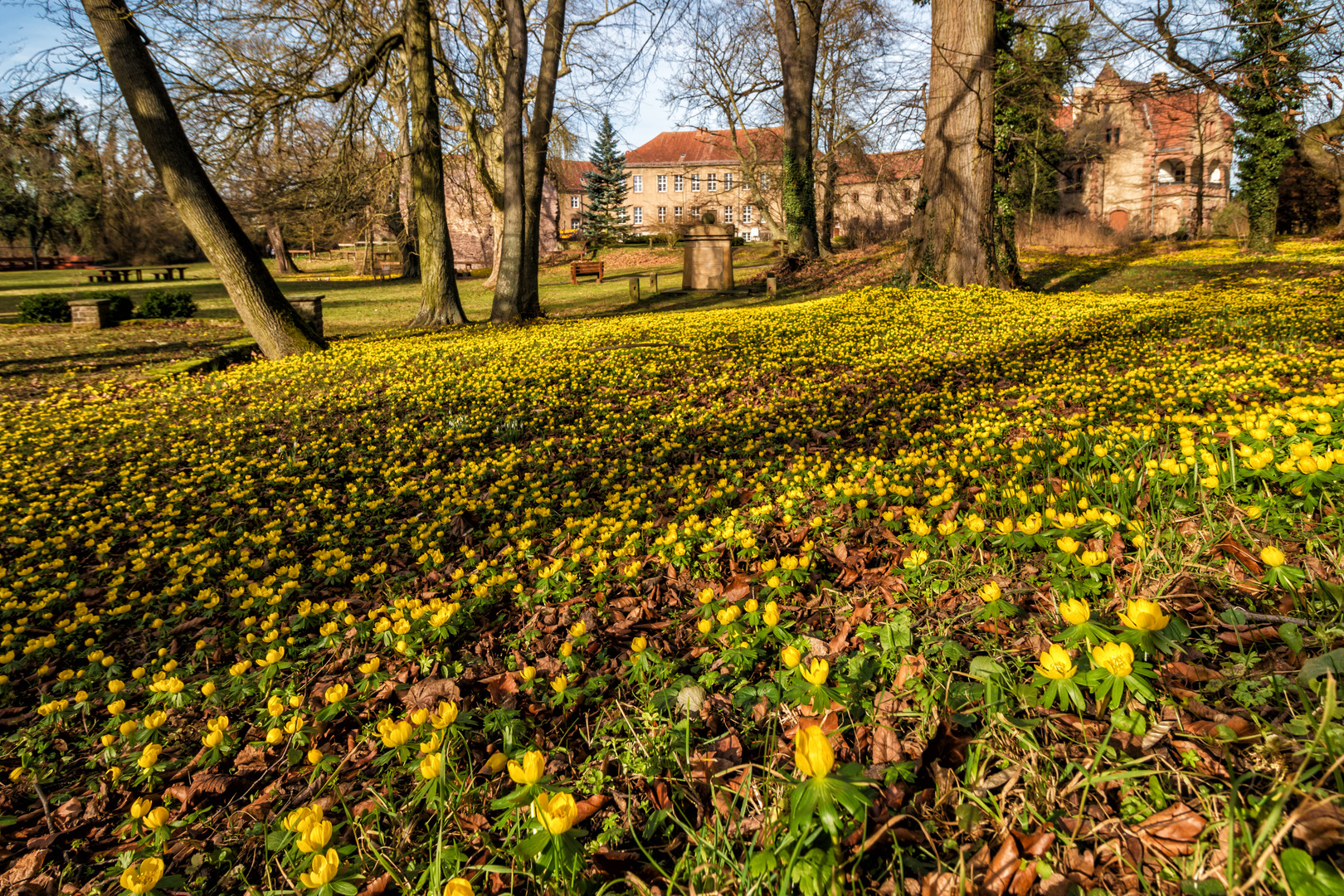 Schlosspark Veltheimsburg