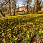 Schlosspark Veltheimsburg