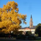 Schlosspark Weinheim