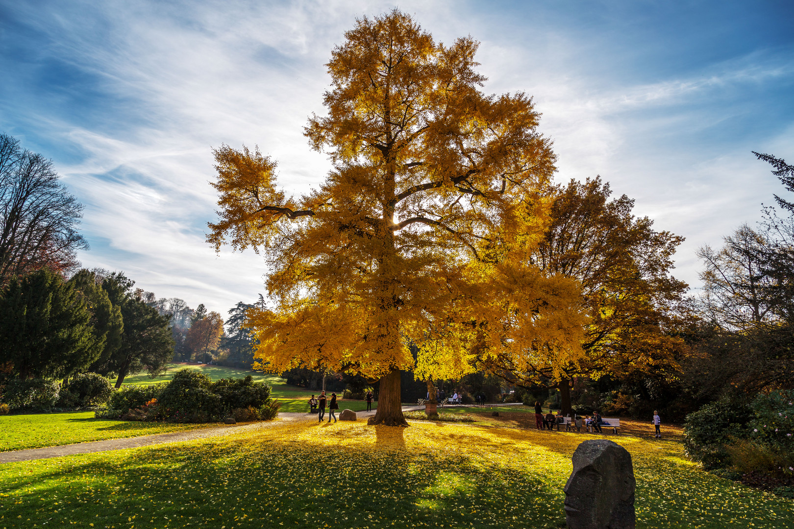 Schloßpark Weinheim