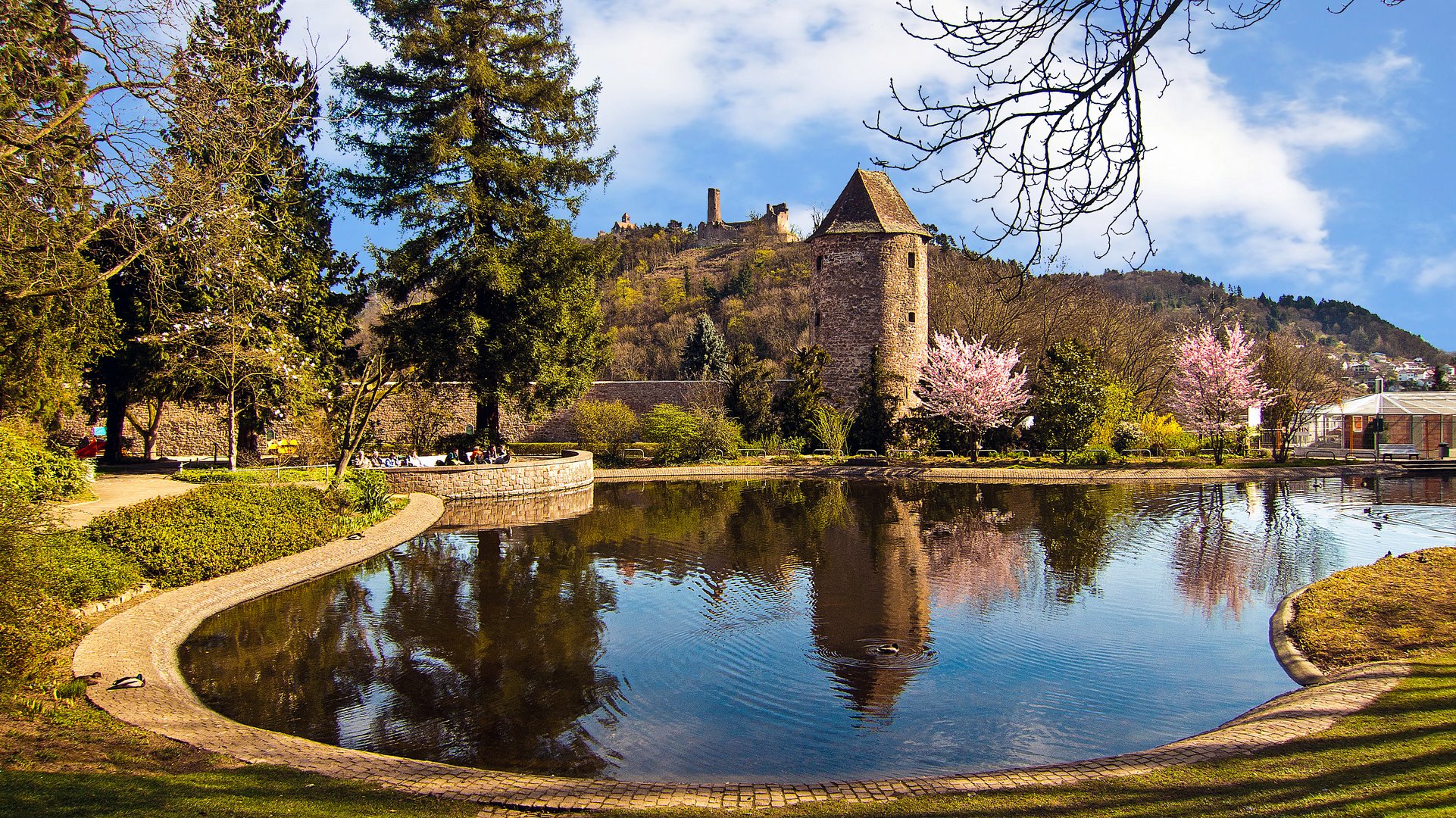 Schlosspark Weinheim Foto & Bild landschaft, garten