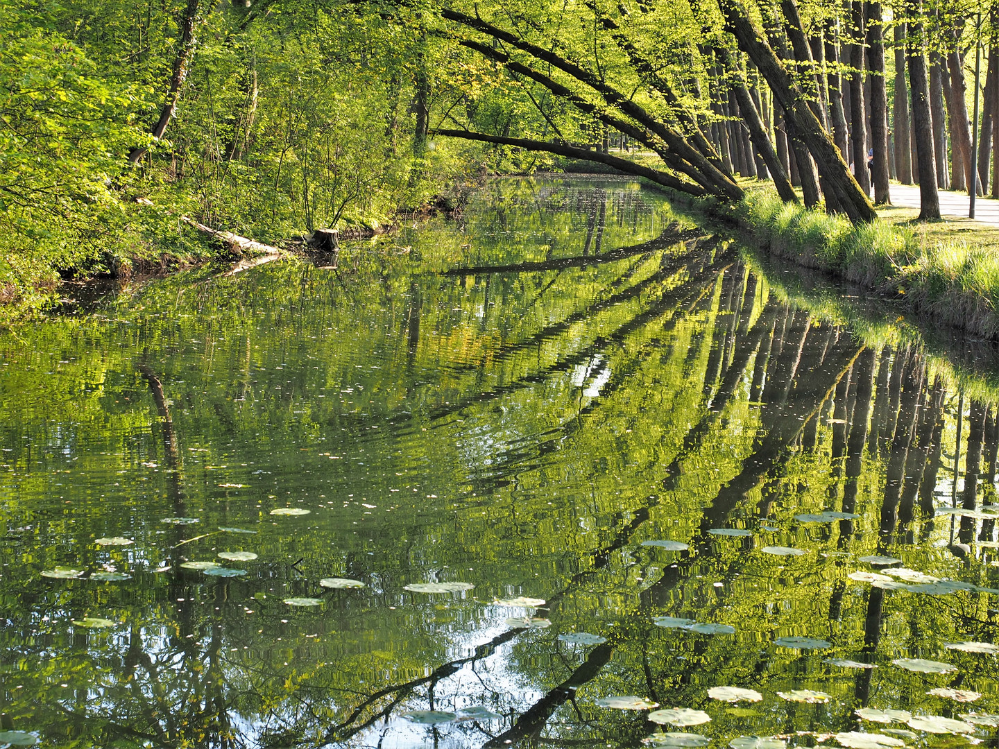 Schlosspark Wickrath,  Niers