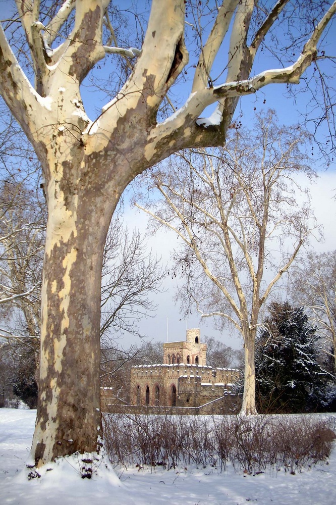 Schloßpark Wiesbaden Biebrich