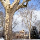 Schloßpark Wiesbaden Biebrich