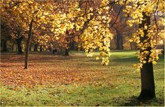 Schlosspark Wiesbaden-Biebrich