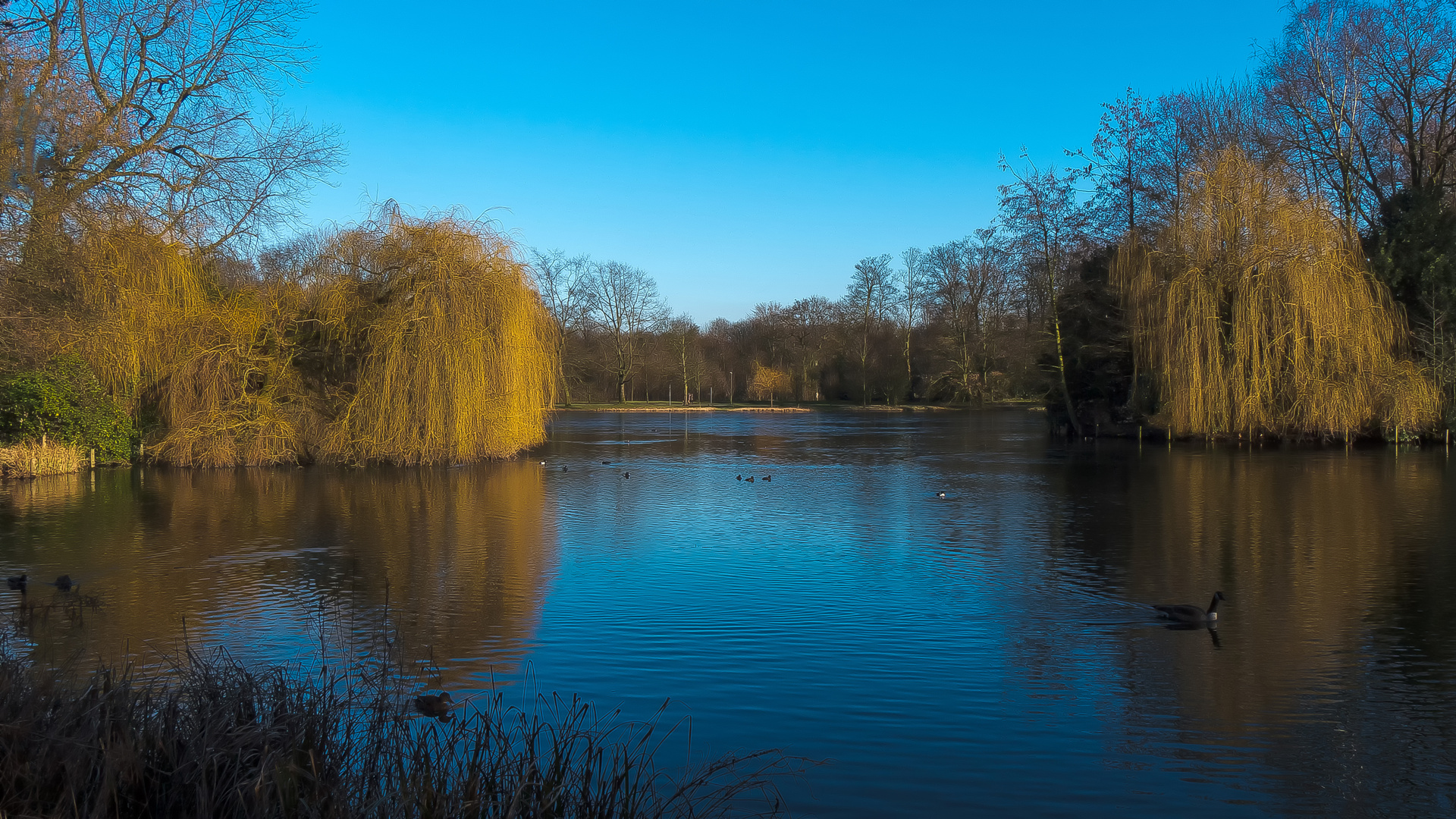 Schlosspark Wittringen