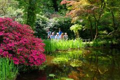 ...Schloßpark Wolfsgarten  06