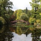 Schlosspark Wolfsgarten - Bogenbrücke -