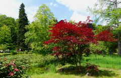 ...Schloßpark Wolfsgarten...05