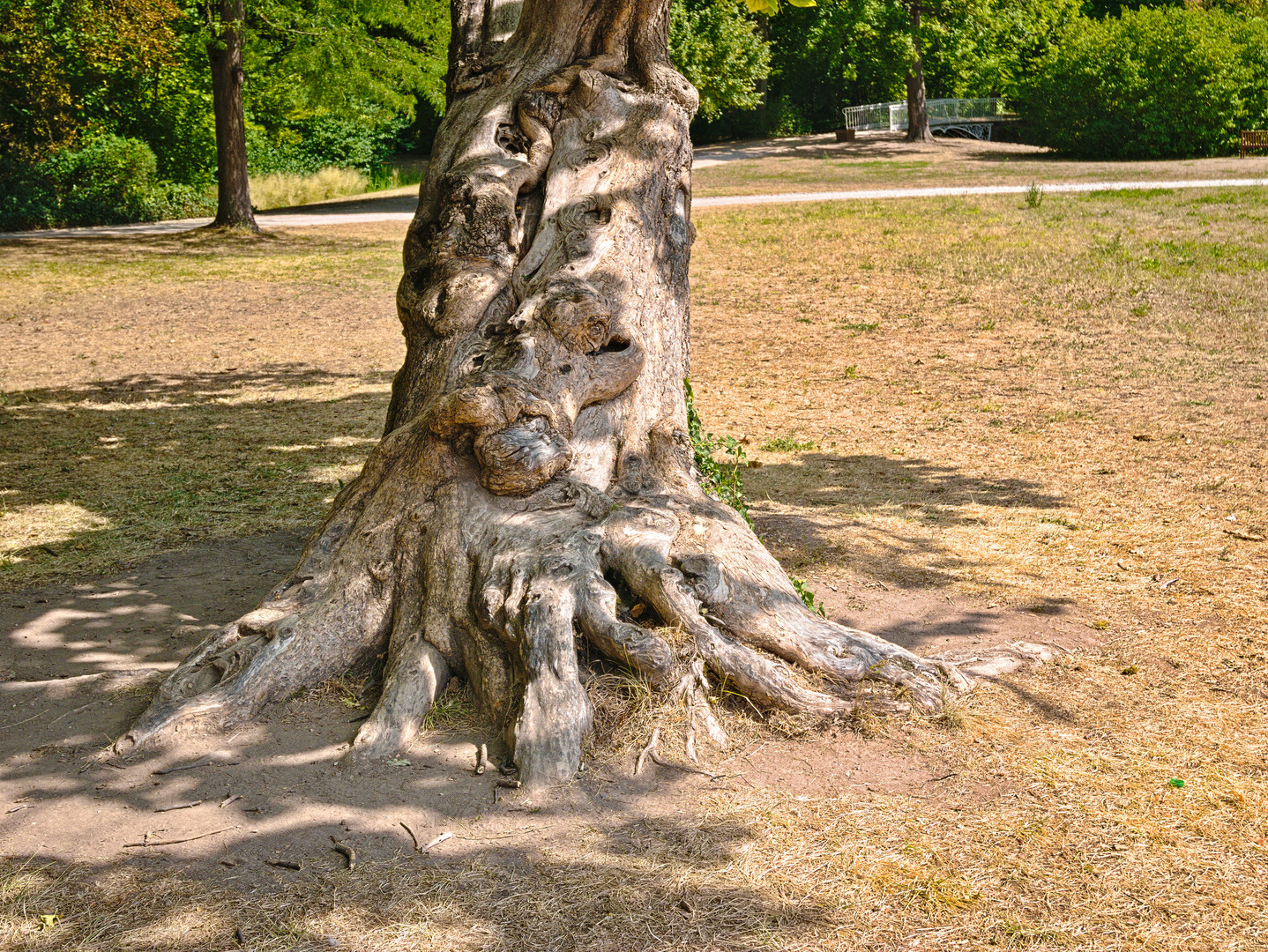 Schlosspark Worms-Herrnsheim