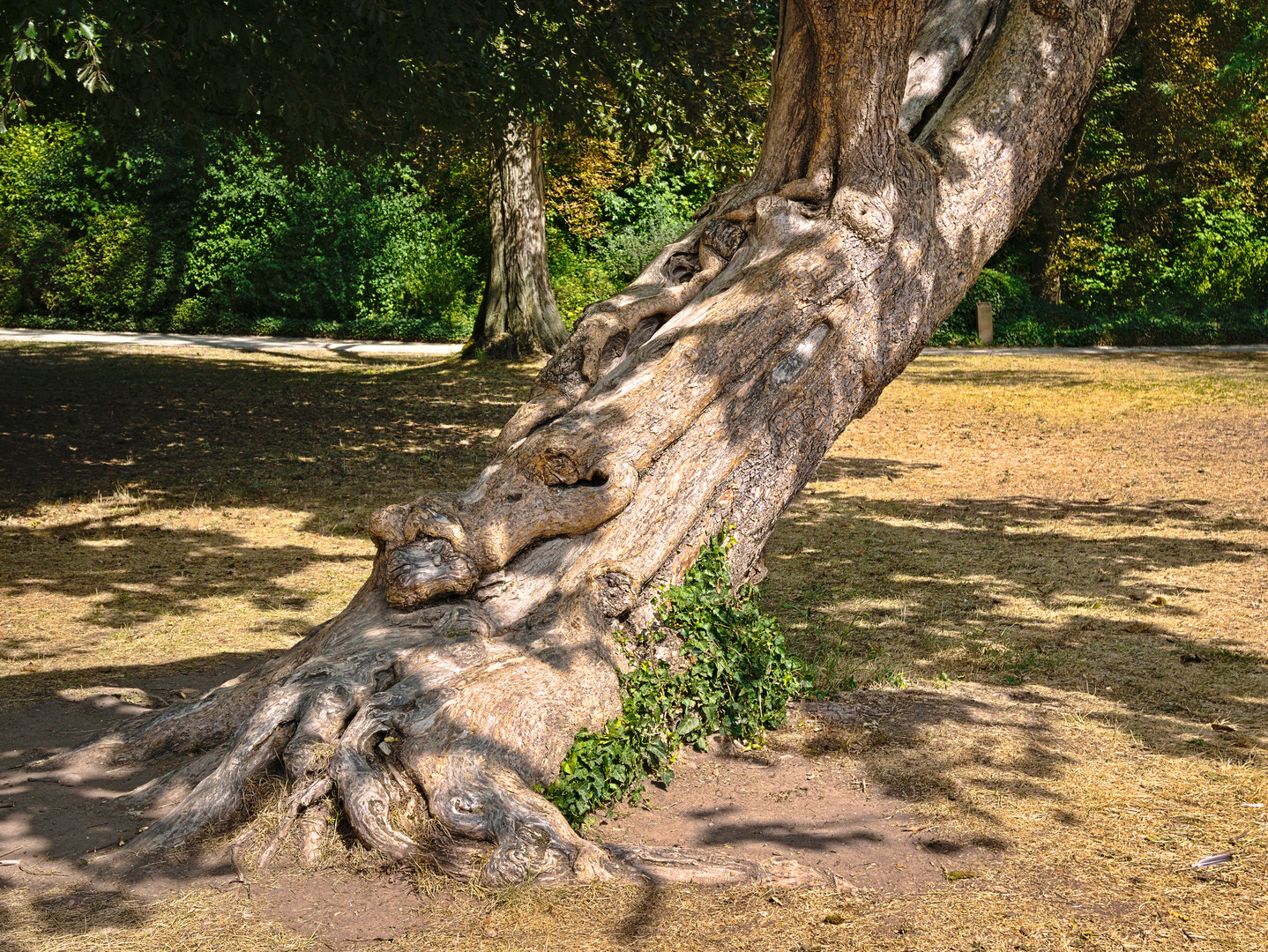 Schlosspark Worms-Herrnsheim