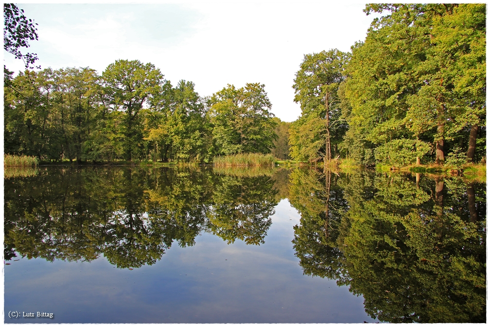 Schlosspark Zschepplin