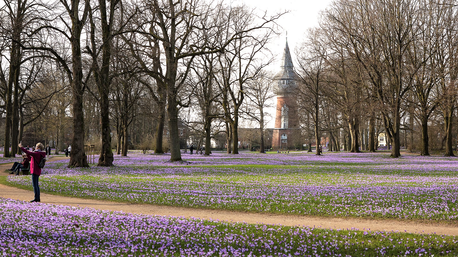 Schlosspark zur Krokusblüte