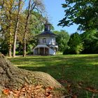 schlosspark zwickau