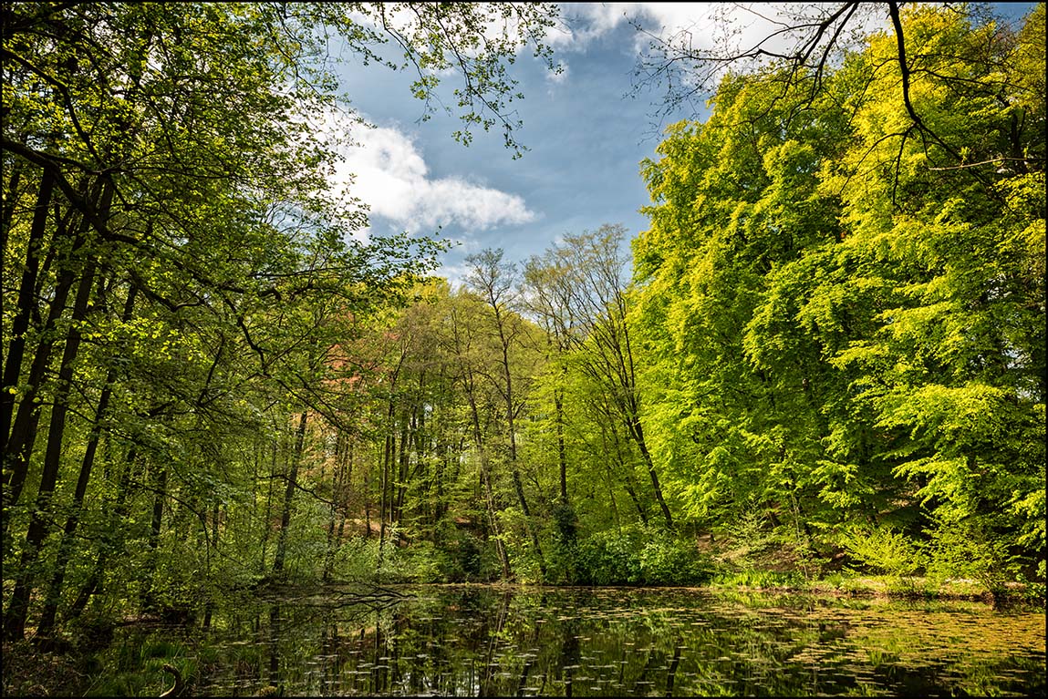 Schlossparkfrühling #2