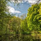 Schlossparkfrühling #2