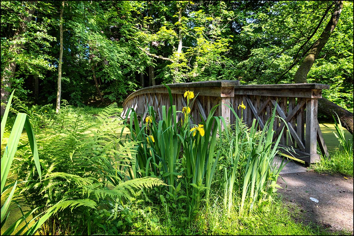 Schlossparkfrühling