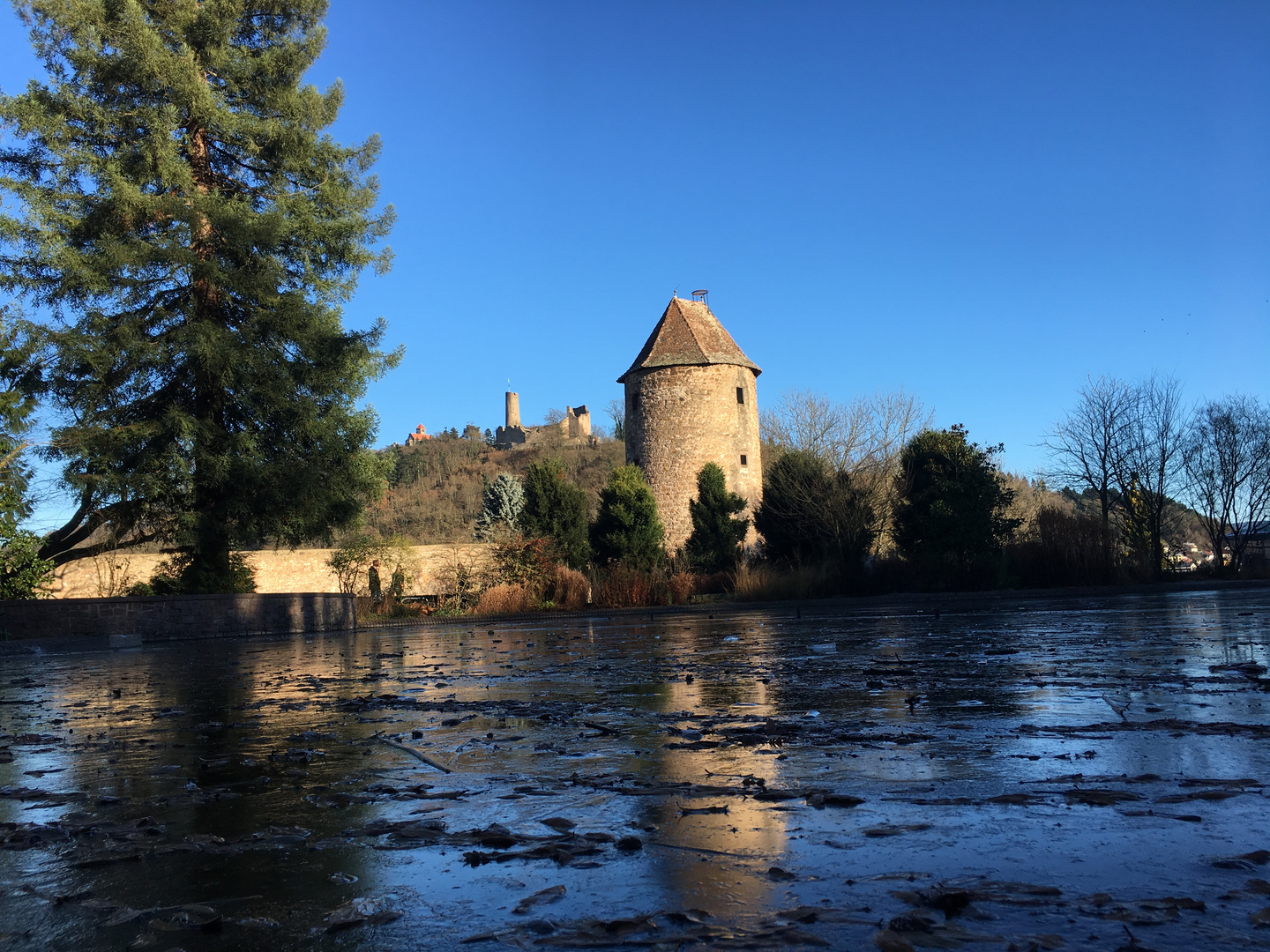 Schlossparkweiher Weinheim