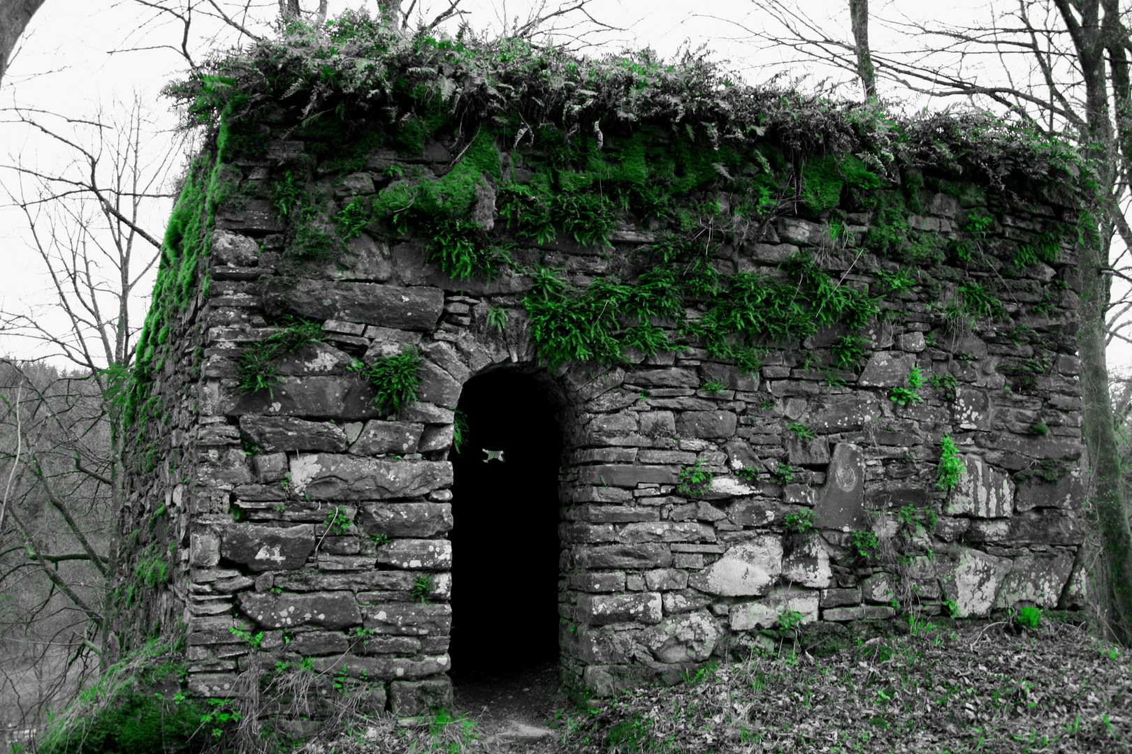 Schlossruine bei Wildenburg