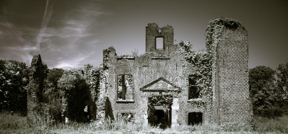 Schlossruine Bleijenbeek