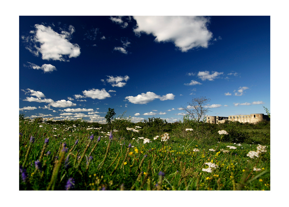 Schlossruine Borgholm/Öland (Schweden)