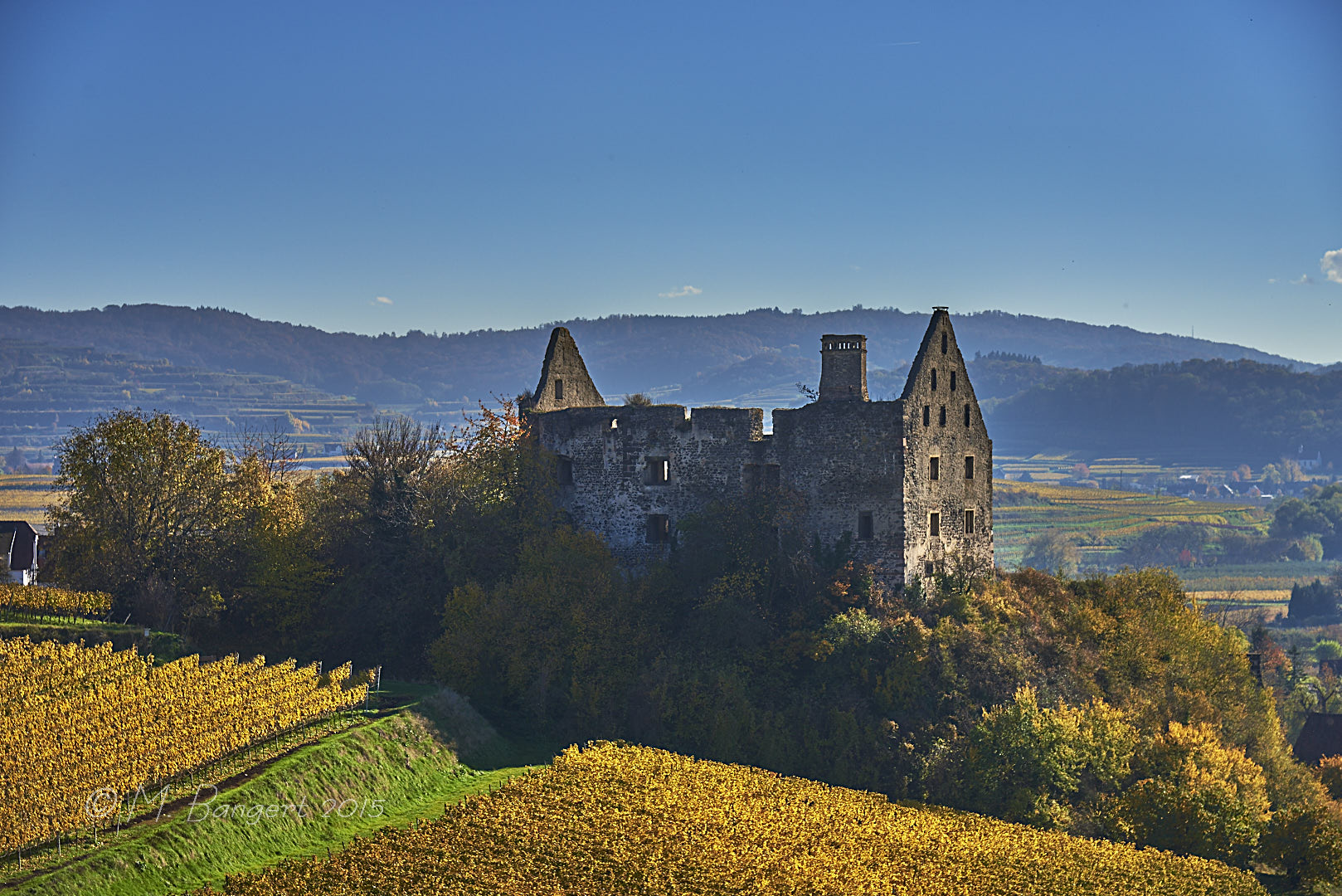 Schlossruine Burkheim