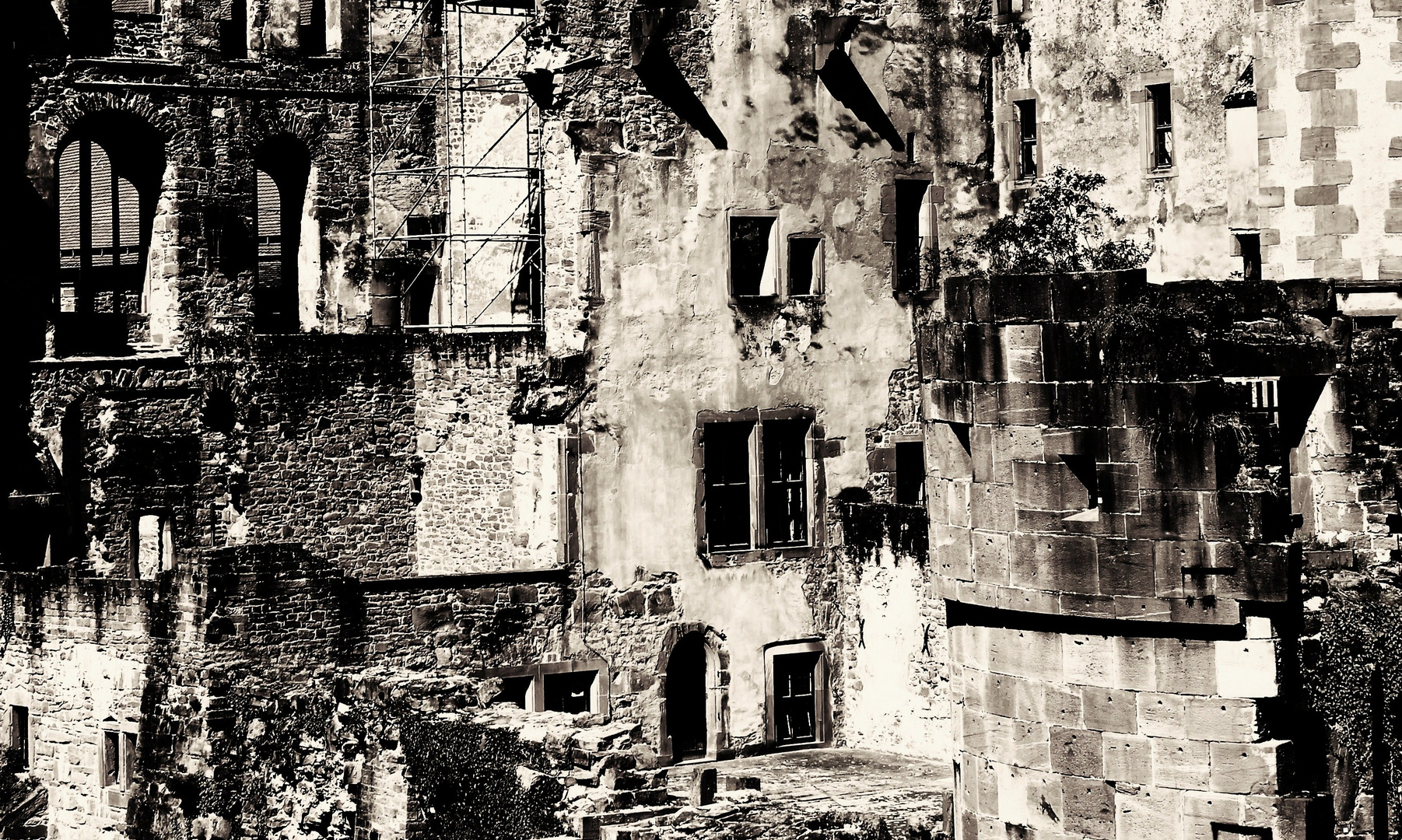 Schlossruine Heidelberg