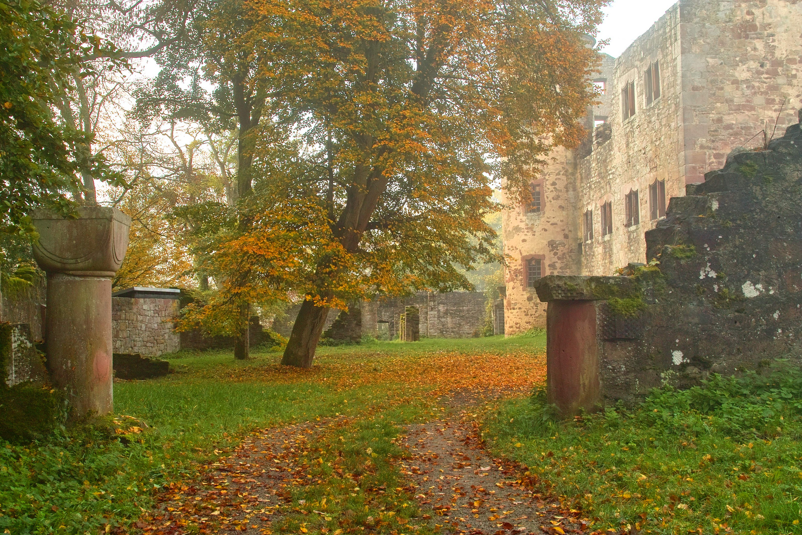 Schlossruine im Herbst