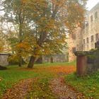 Schlossruine im Herbst