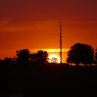 Schloßruine im Sonnenuntergang. (Alt-Arnsberg) 