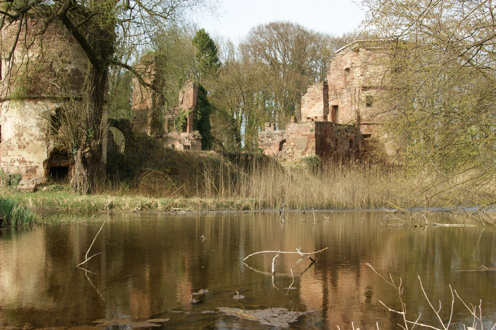 Schlossruine Menzingen - 1