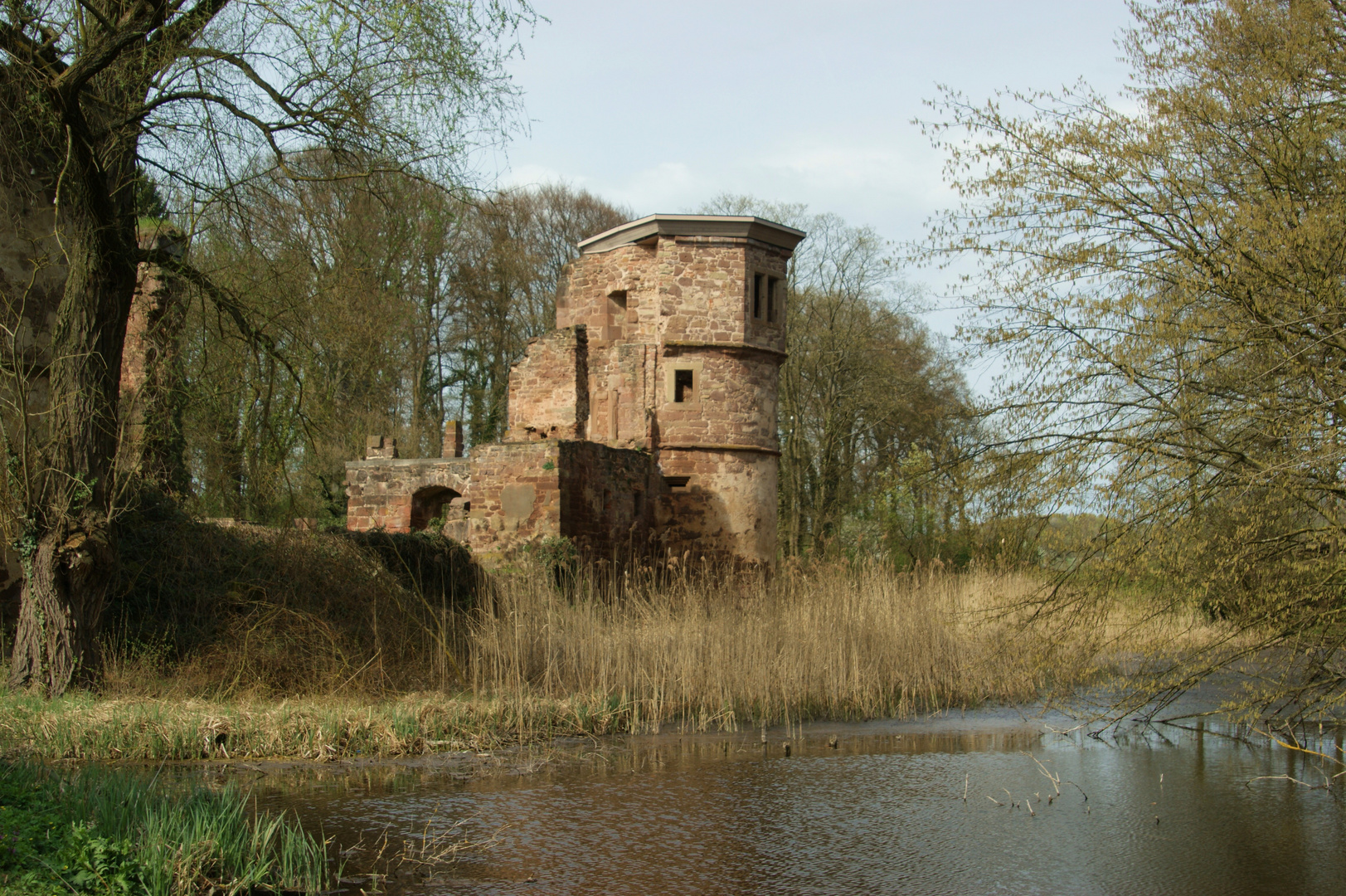 Schlossruine Menzingen - 2