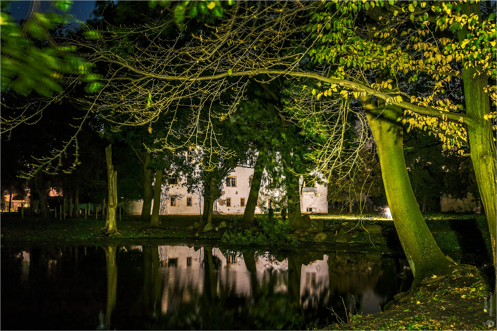 Schlossruine mit Teich