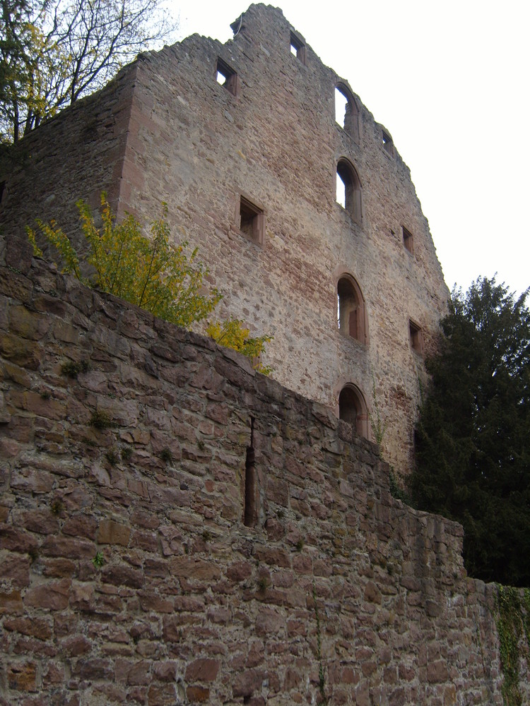 Schlossruine Neuenbürg