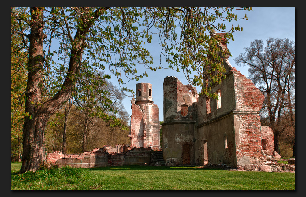 Schlossruine Pansevitz - Rügen