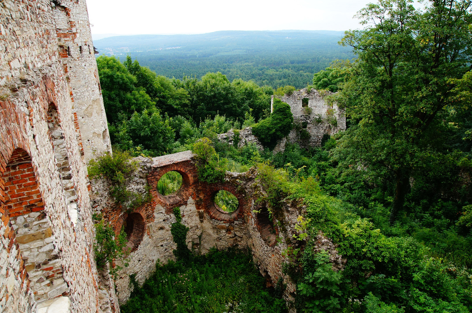 Schlossruine tief im Wald