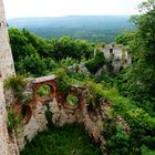 Schlossruine tief im Wald