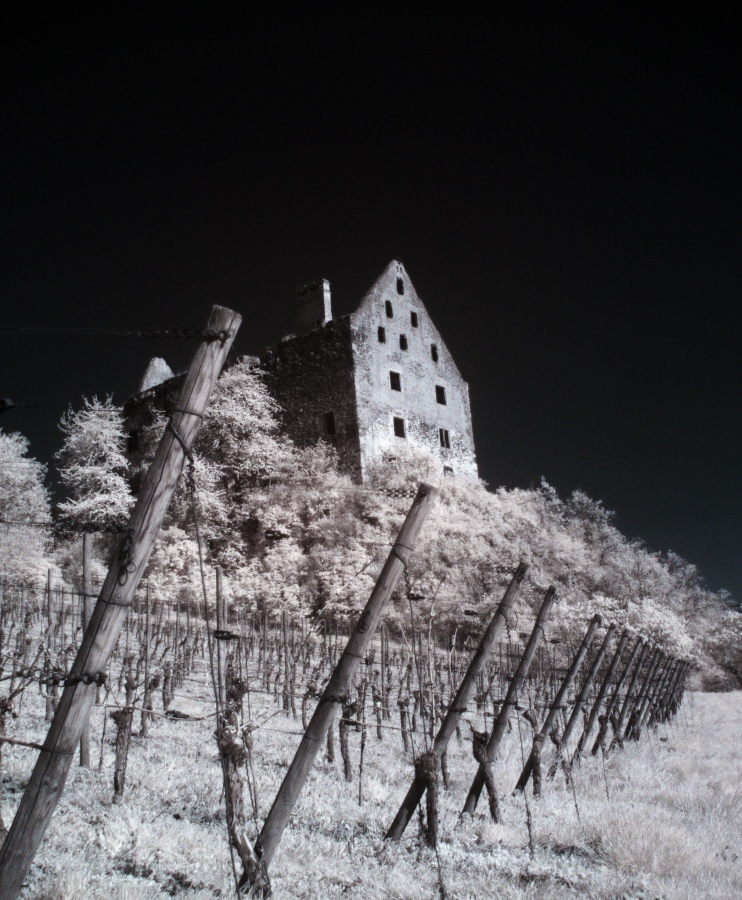 Schlossruine Vogtsburg-Burkheim von Ralf Rudelbach