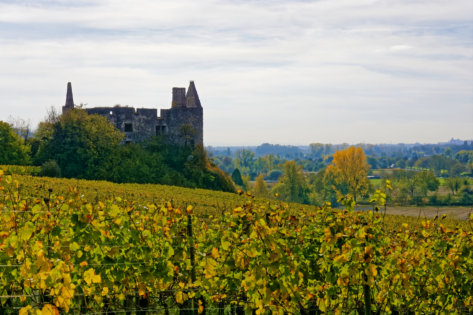 Schlossruine von Burkheim