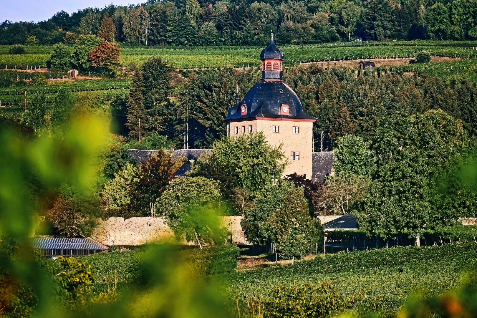 Schlosss Vollrads im Rheingau