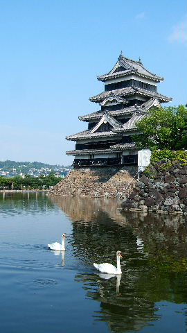 schlossschwäne matsumoto