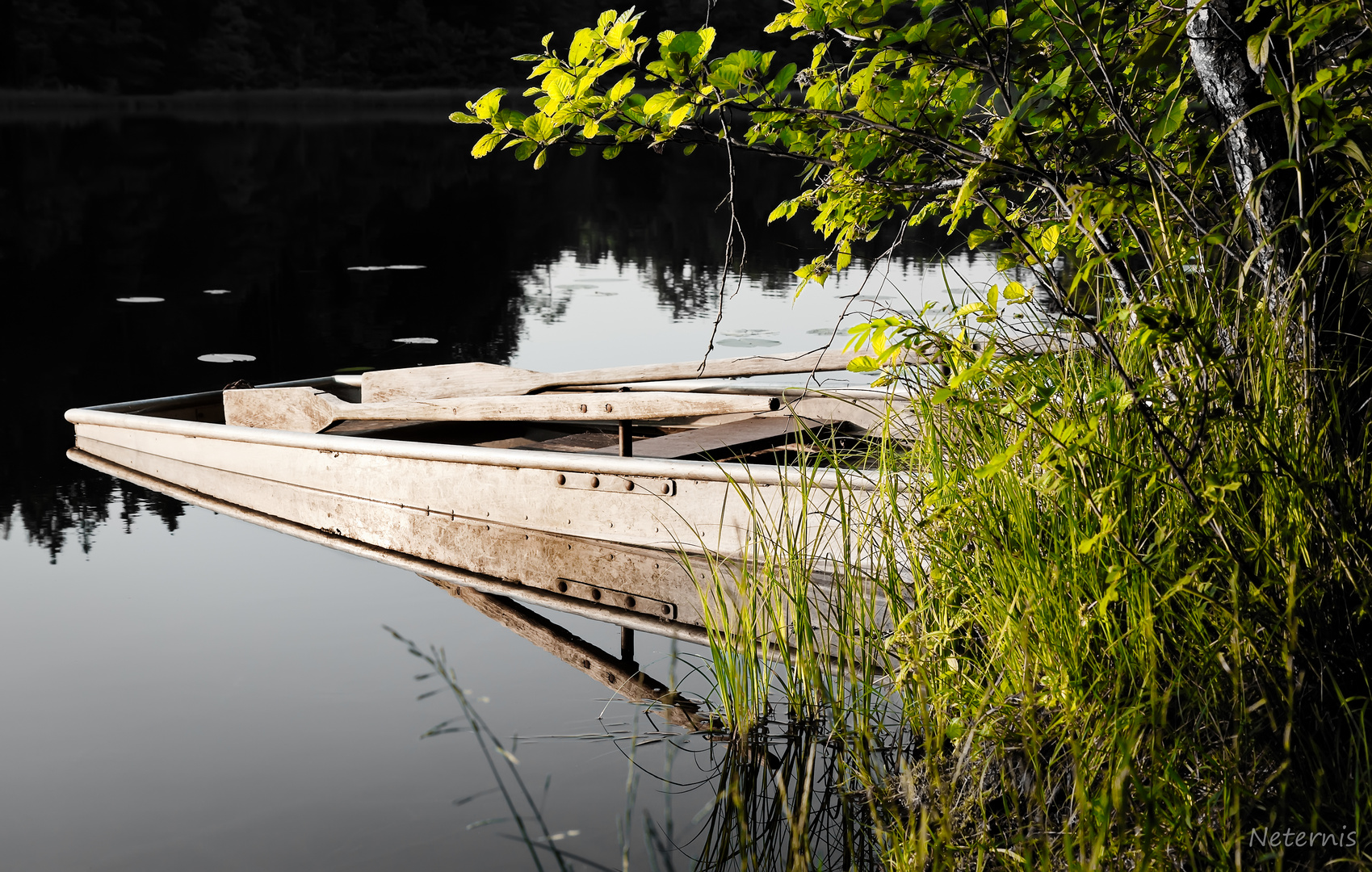 Schlosssee I