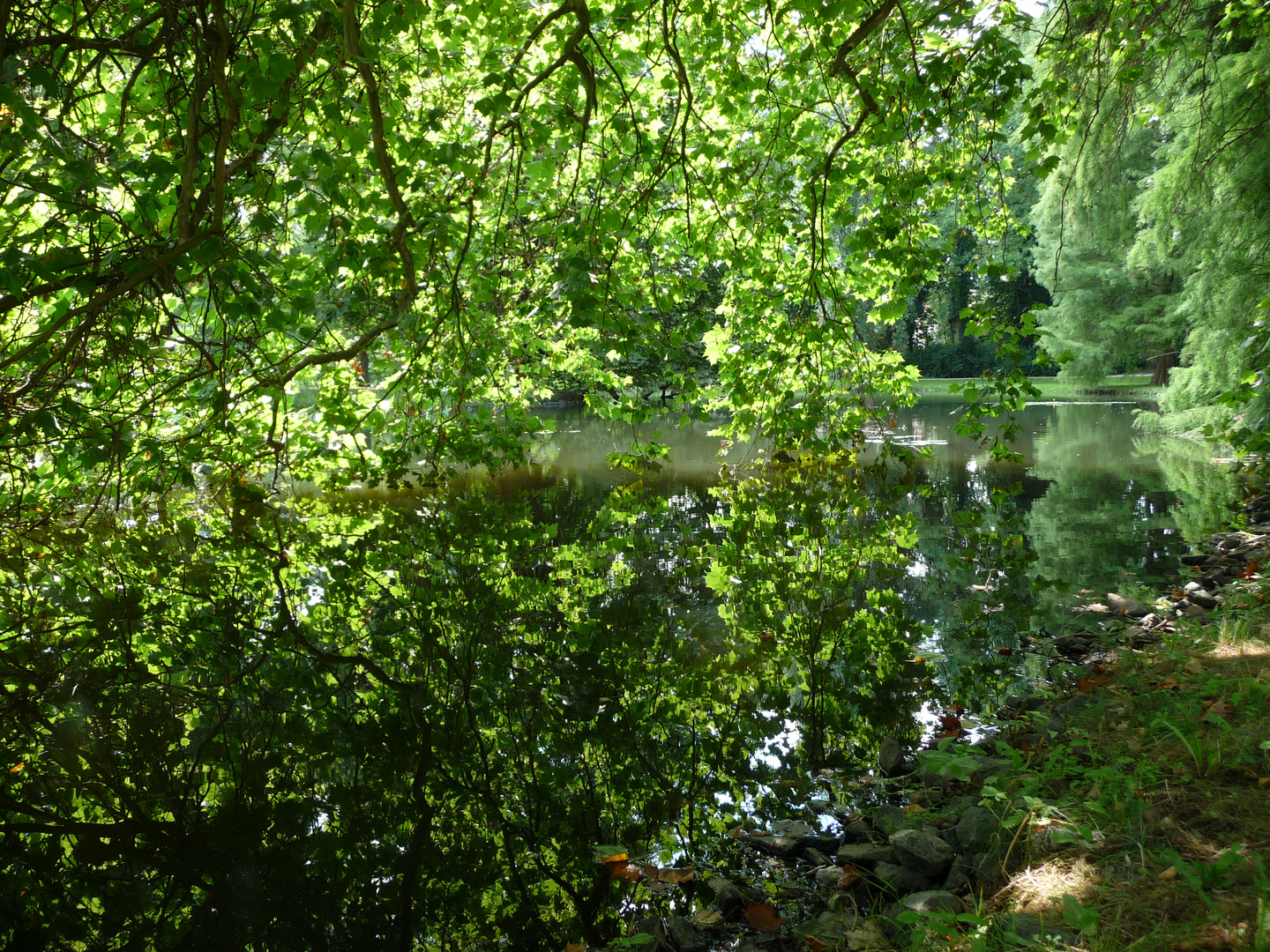 Schloßsee in Celle