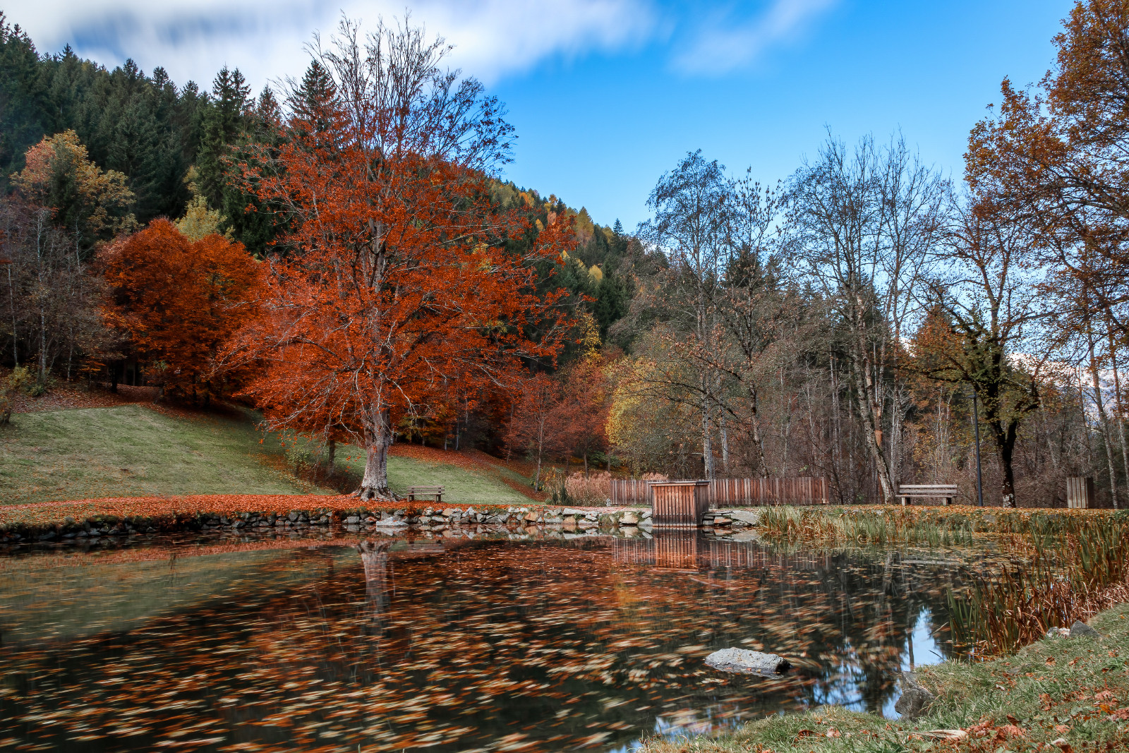 Schlossteich bei Schloss Bruck